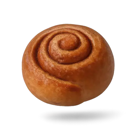 Schnecken